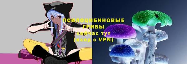 2c-b Армянск