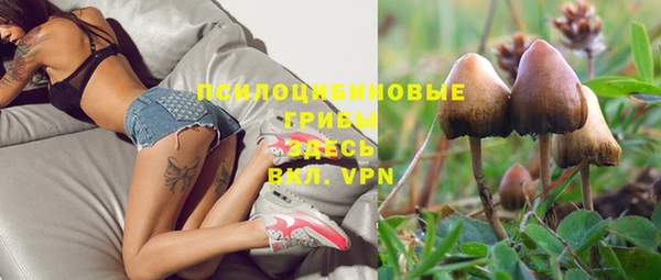 винт Аркадак