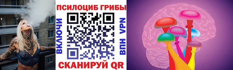 Псилоцибиновые грибы Cubensis  где купить наркотик  Шуя 